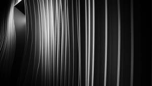 David AMADIEU - AMADIEU DAVID