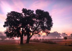 Michael LAZARO - Adgence Communication - BONENGOO SAS